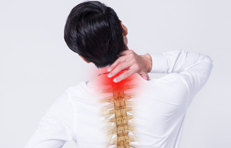 脊椎脊髓 守护人体生命之轴，从健康生活开始