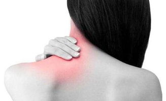 湘凝曲线枕 守护脊柱健康，告别颈椎病困扰